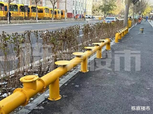 2022皇姑建设！岐山路2150米道路将打造知识主题公园