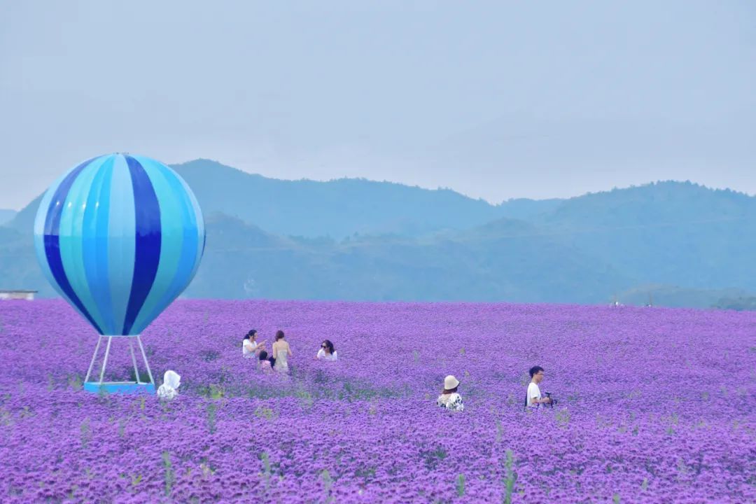 |花溪之夏·避暑季 | 在花溪，很高兴陪你度过这样一个夏天