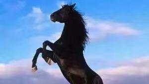 |为什么手机逐渐变成了一种快消品呢？