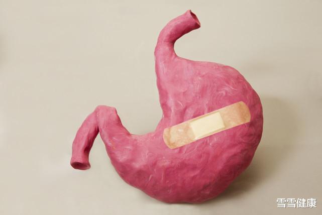 胃黏膜|胃黏膜的“保护伞”找到,没事吃一点,修复胃黏膜,养护更暖胃