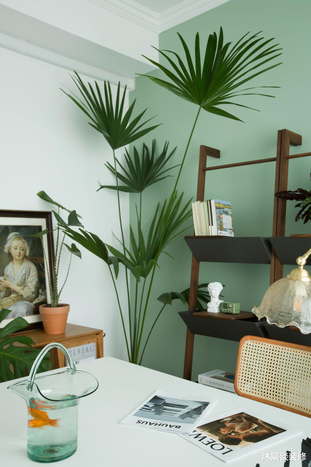 自然又清新的“森系”空间，花钱不多，却十分治愈，太有幸福感了