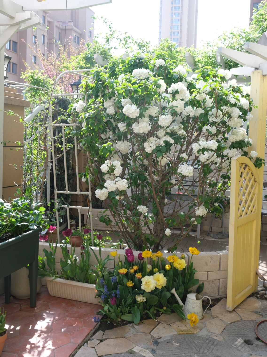 客厅|住不起大别墅,买栋一楼带花园的小洋房,也是个不错的选择