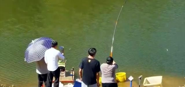 |男子钓获50斤的大鱼稳稳地坐着遛,围观者的反应亮了,网友:放生