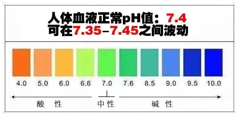 红酒|“软化血管”骗了国人数十年!红酒、鱼油、黑醋……统统在瞎扯