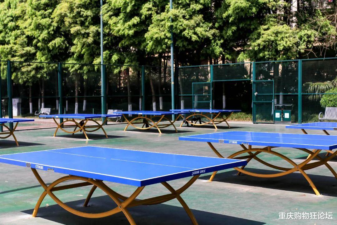 |公交直达，湿地、草坪、运动场！这个宝藏公园怎么还不出圈？