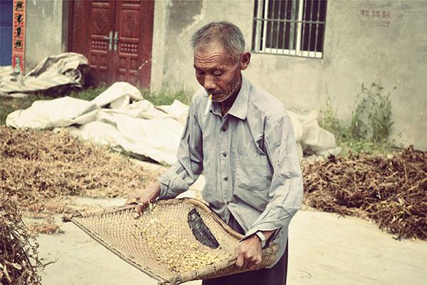 医生|133岁寿星的长寿秘诀被公开,只做三件事