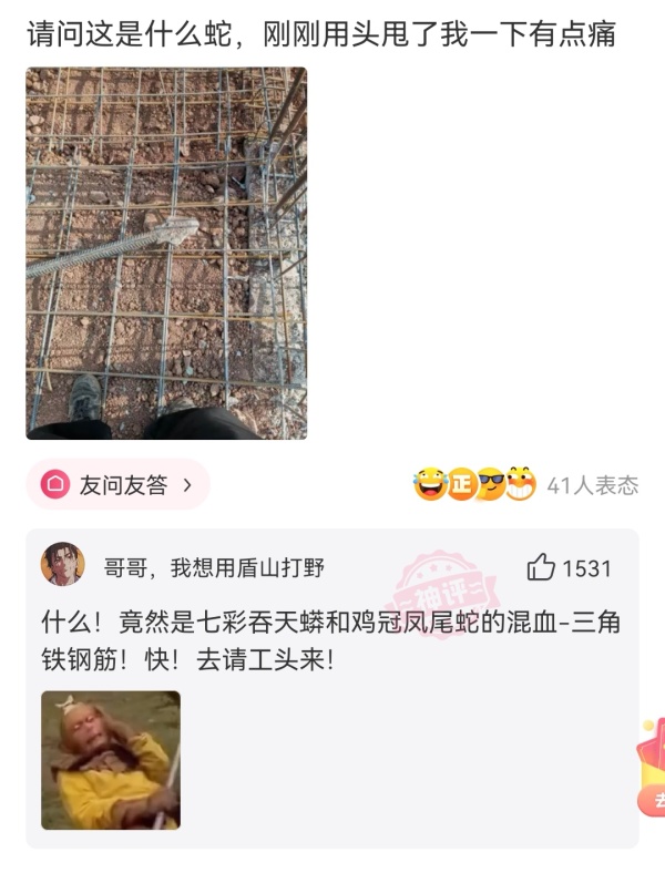 博德|神回复：如果中国队用这个阵容，世界杯能打进决赛吗？