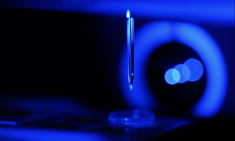 |10年后，生物3D打印市场的新“三巨头”