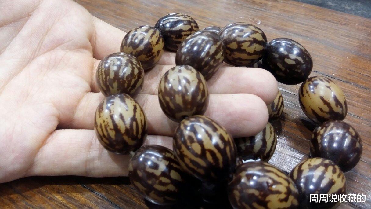 菩提根|关于菩提根和白玉菩提的叫法,到底是不是一回事?