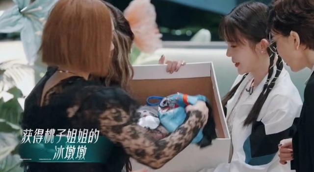 浪姐3|《浪姐3》四公淘汰名单，胡杏儿许茹芸离开，徐梦桃没参加四公