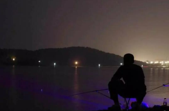 猫之城|钓友为何都喜欢昼伏夜出,原因很简单:白天要搬砖,晚上有空闲