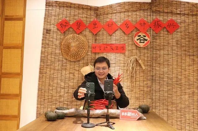 蓝湖资本|新电商时代图景:人才“下乡”,农货“进城”