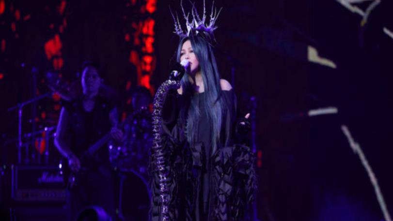 张惠妹|张惠妹高雄连唱10场超狂！「演出、抢票日期」出炉