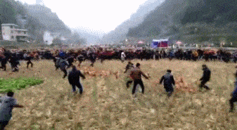 乐嘉|47岁乐嘉晒近况，顶烈日跳绳皮肤黑到发亮，一身腱子肉似十八铜人