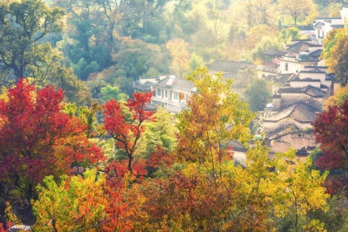 徽州|中国的秋天，哪儿哪儿都美