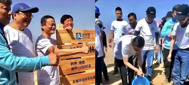 蚂蚁森林|马云承诺每年在沙漠里种树,如今6年过去了,沙漠已经变成这样