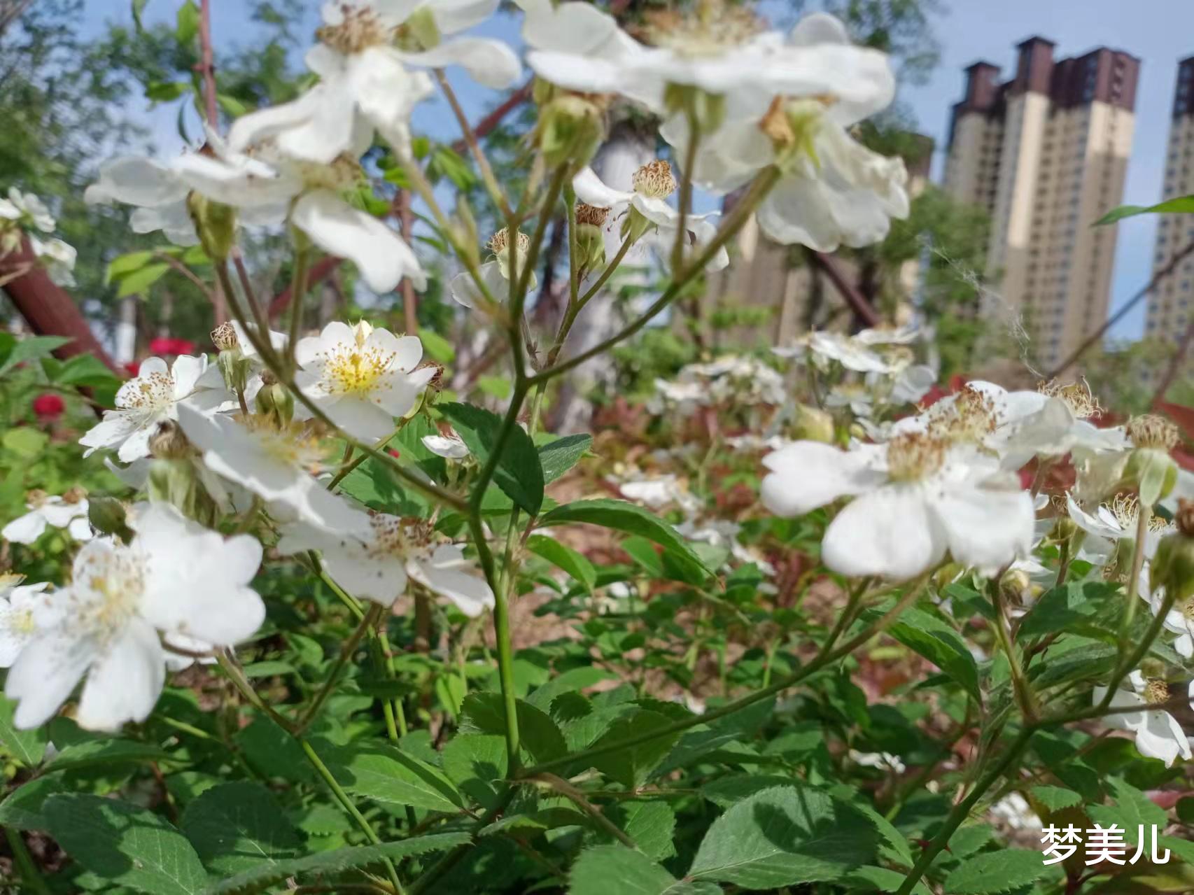 |没有金刚钻，别揽瓷器活儿