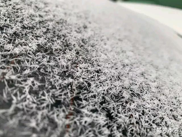 河南多地下罕见“冰针”雪,众人称没见过,像味精又像长粒香米