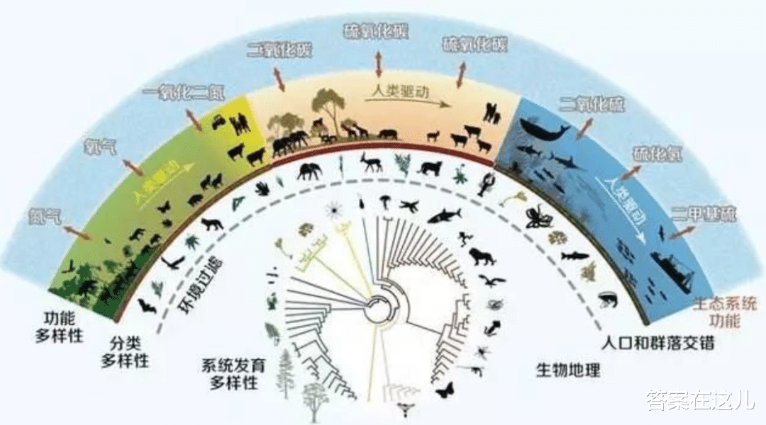 虎杖的威力多大?让英国房屋贬值80%,连长过的土都需回收处理