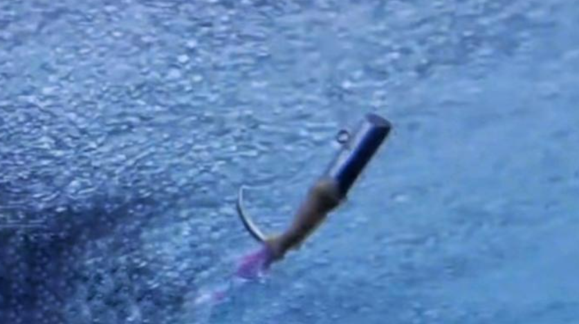 疯狂|捕捞金枪鱼为啥不能用渔网？且能连续钓不用摘钩，它自己愿者上钩？