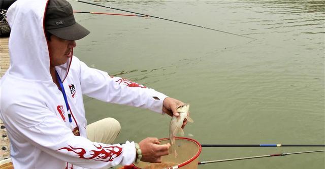 饵料|鱼的警惕性会导致钓鱼时停口、死窝,怎样有效降低鱼的警惕性?