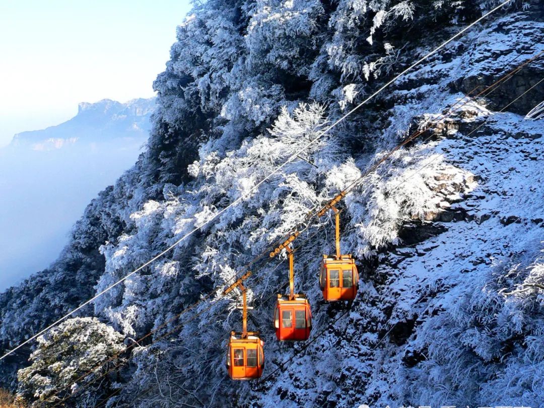 金佛山|这里春是花的海洋、夏是避暑天堂、秋是满山红叶、冬是冰雪世界