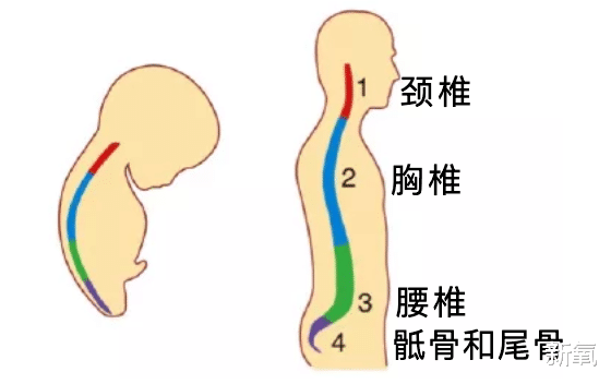 裴秀智 韩国淡颜美女冲上热搜,这是什么蜜汁传承吗?