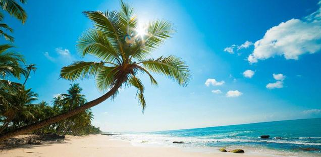 旅行|自驾游,你有什么方法可以减少费用?