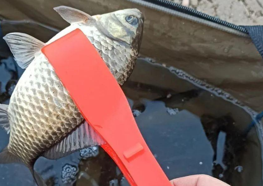 机器|买了就后悔的5种钓具