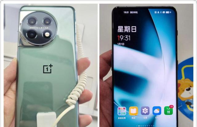 一加科技|一加11真机曝光:大圆环+圆润机身设计,颜值颇高