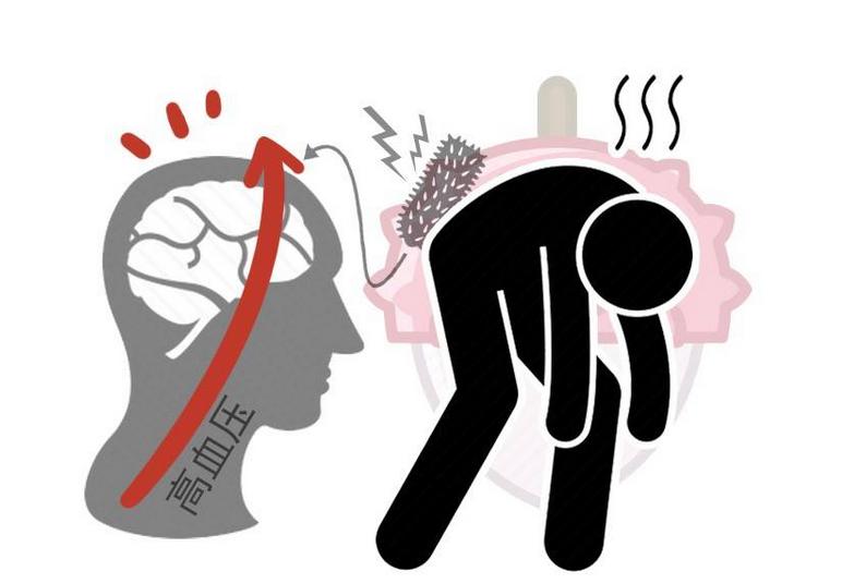 长寿|为何血压一直不稳定,时高时低?先别急,看看是否属于这类人