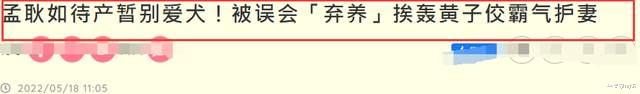孟耿如|孟耿如因怀孕暂别爱犬！遭网友抨击弃养，老公黄子佼高情商回应