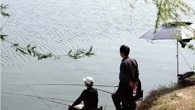 饵料|鲤鱼“狡猾”不好钓？这3个原则很重要，让你一钓一个准