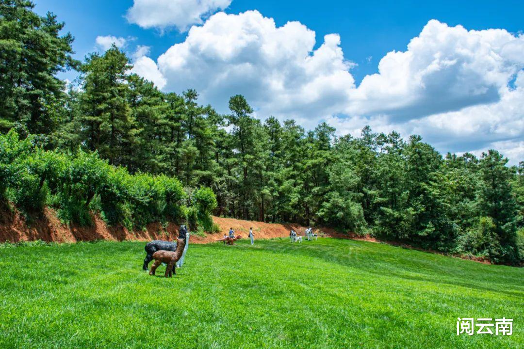 携程|昆明周边露营地盘点:森林草甸、高山牧场、热浪沙滩,不愁没去处