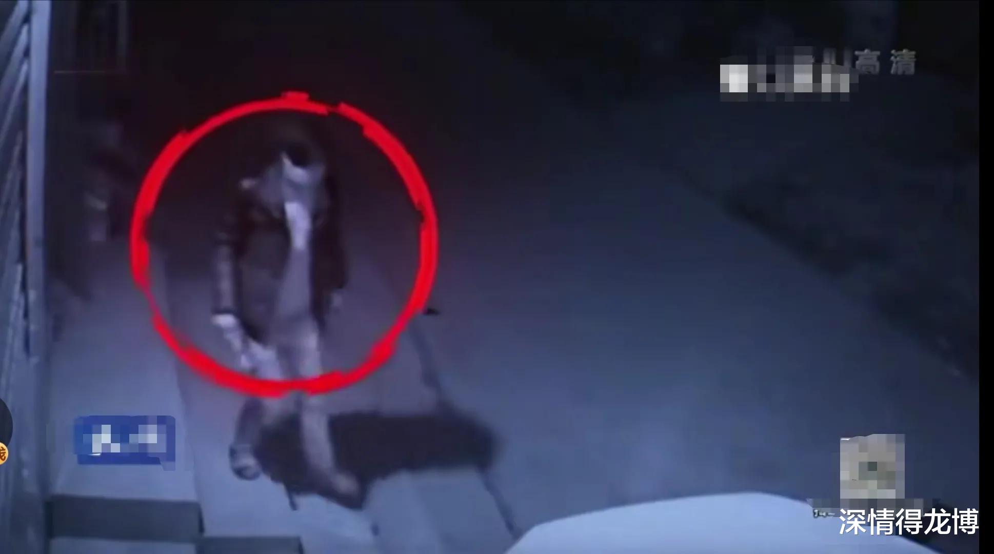 求职|2016年，认识3天见网友女子遭杀害，男子：她开车找工作，有钱