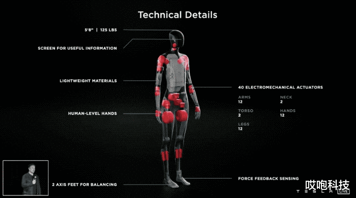 特斯拉|特斯拉仿生人来了!能帮你干不想干的事...