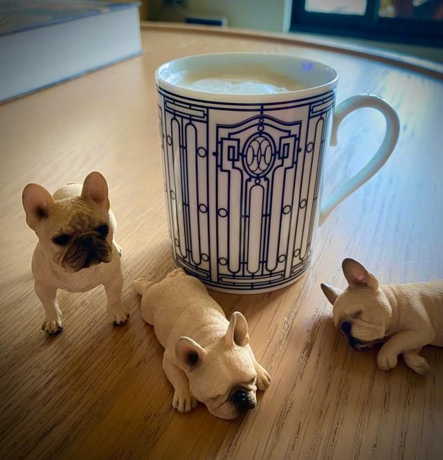 王心凌|39岁王心凌晒出台北的家:全屋虽不豪华,但却没有丝毫俗气,喜欢