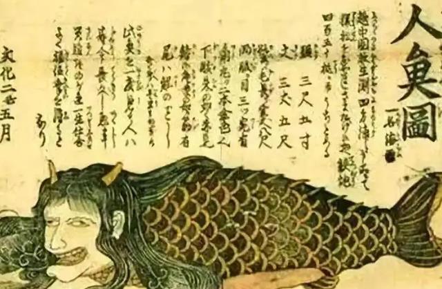 传说中的赤鱬,西方人眼里的美人鱼,14年不见踪迹,已功能性灭绝