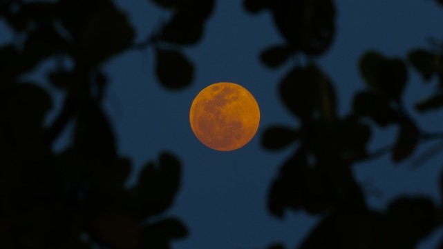 今夜,记得观看月全食巧遇天王星,错过要再等2322年