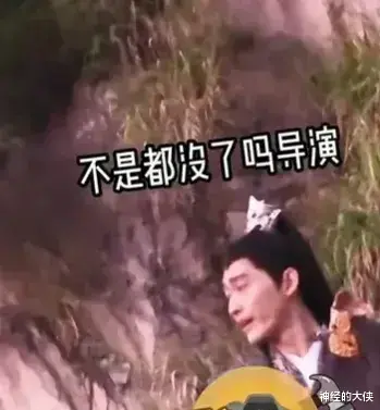 张翰|张翰,引众怒!网友直接表示:快凉吧!