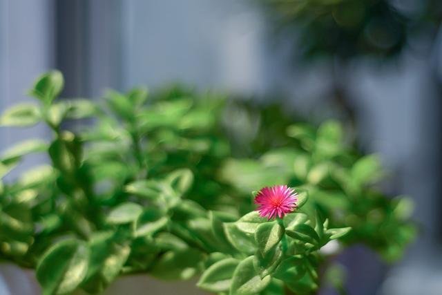 一个家庭过得幸不幸福,看看家里的一个地方就知道,伪装不了