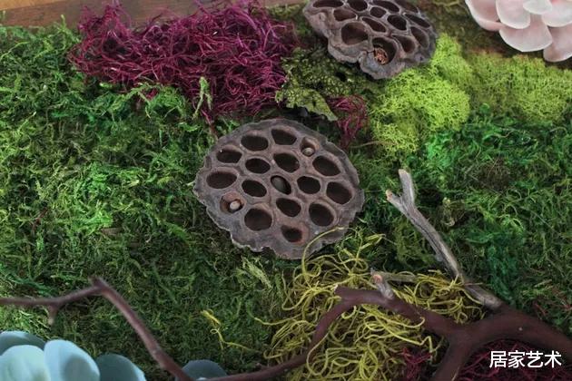 手把手教你在家DIY苔藓墙画