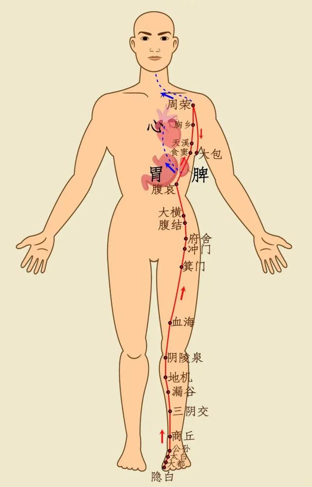 心脑血管疾病|五脏最喜欢的养生动作,经常做五脏保平安