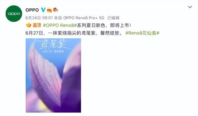 realme gt2|苹果14将推出紫色？Reno8花仙紫已上线，网友：玩色彩还得是绿厂