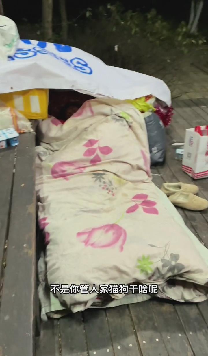 江苏无锡:天冷了,流浪女子睡在公园凉亭里,画面令人心酸
