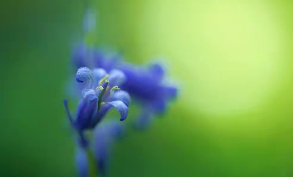 住房公积金|37年教龄高级教师14年双边公积金总计才6万多，缴存比例实在太低