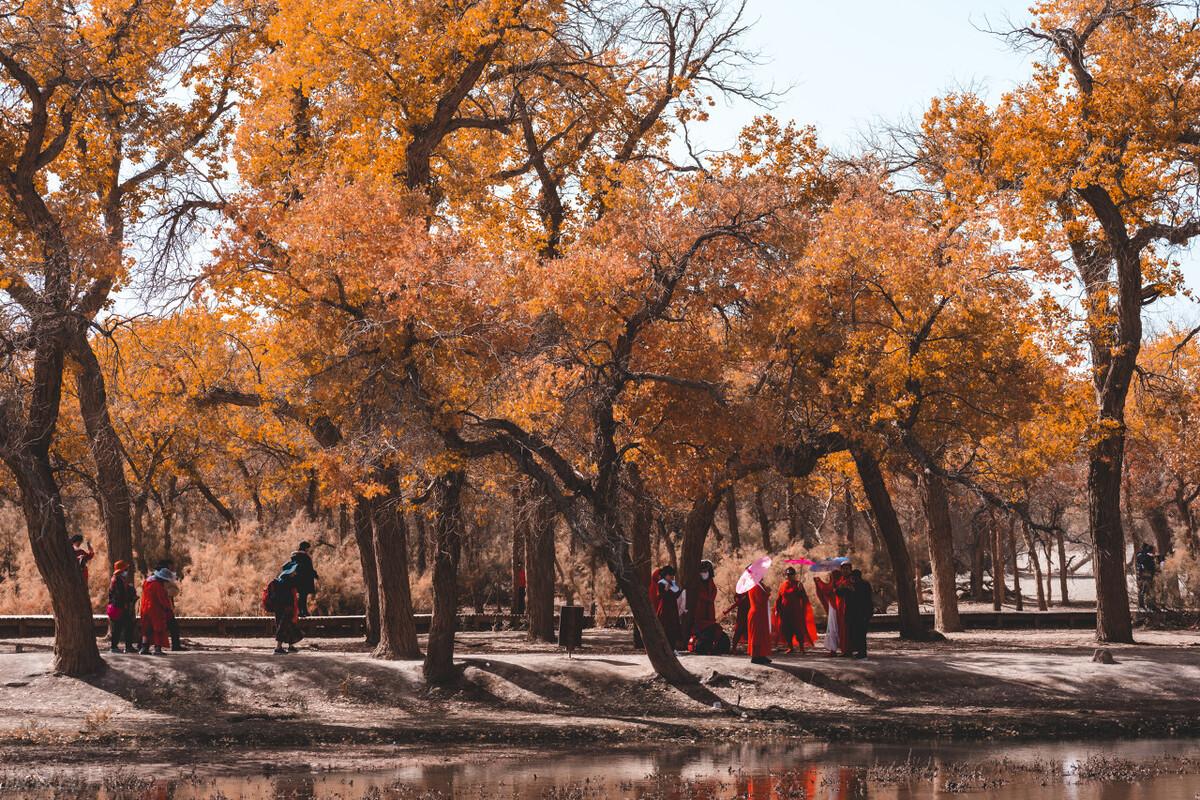 怀化|15个天气气候景观地，日月星辰风花雪月，个个绝美，你想去哪个？