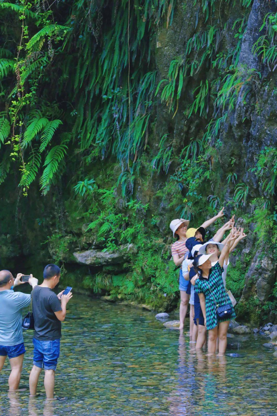 张家界|热得遭不住！这几处避暑之地，凉快到你不想回家