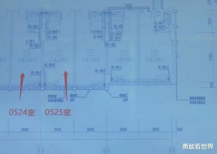 新房下水管被邻居截断,结局却让人无语!