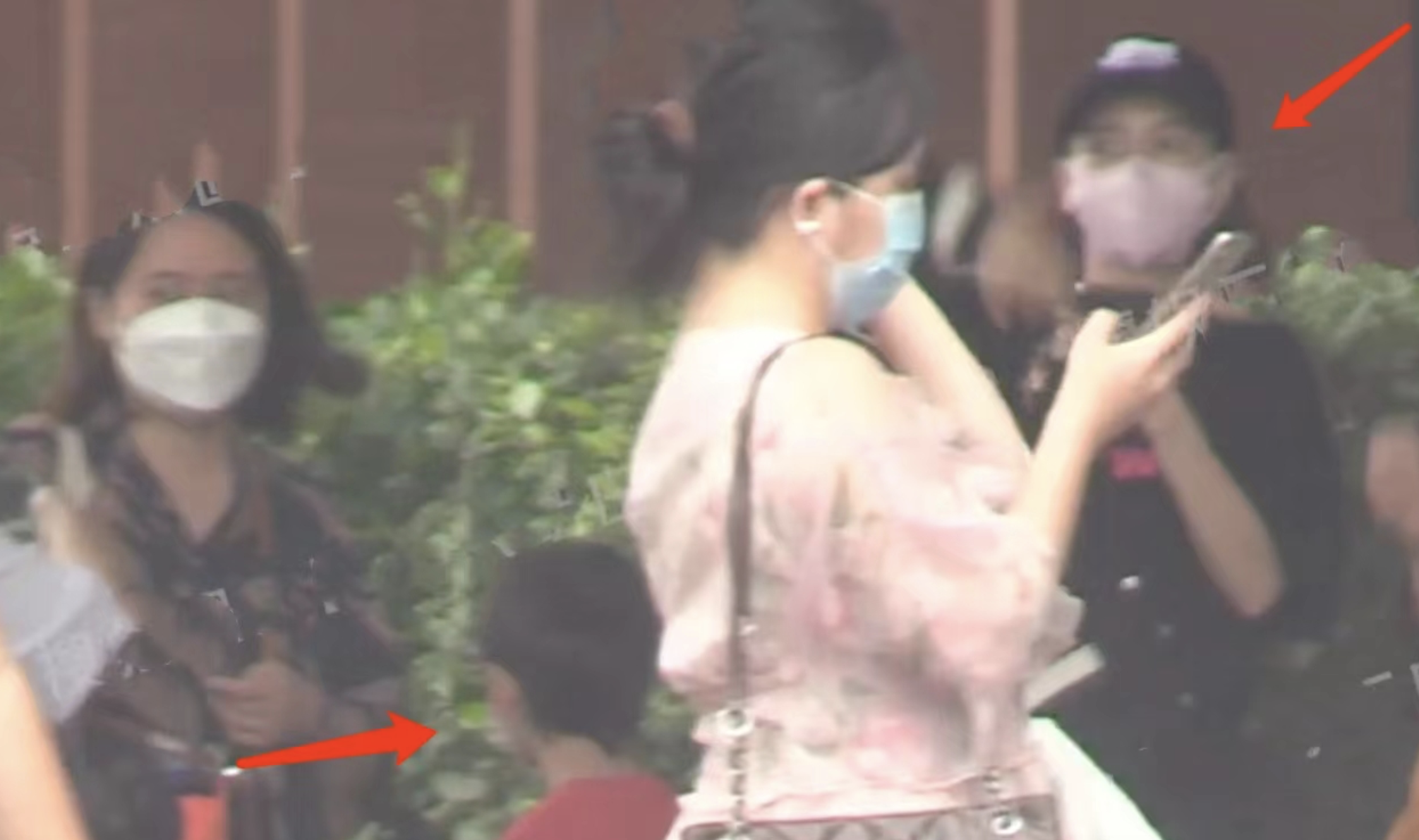 Angelababy|baby带儿子逛海洋乐园，小海绵长高不少，正面照意外曝光清秀帅气